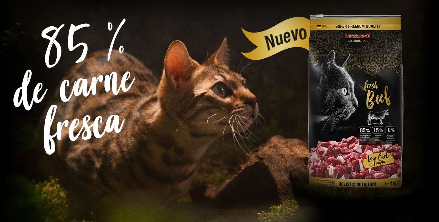 leonardo-seco-nucan-mascotas